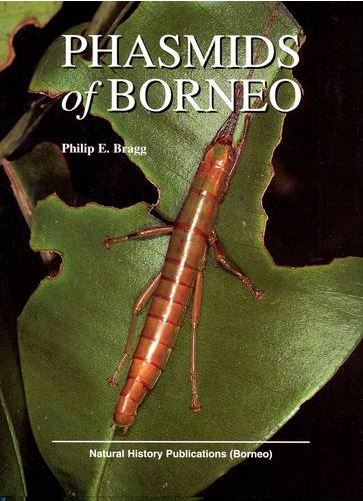 Phasmids of Borneo by Phil Bragg - cover